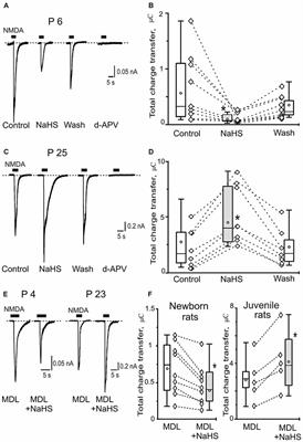 Age-Dependent, Subunit Specific Action of Hydrogen Sulfide on GluN1/2A and GluN1/2B NMDA Receptors